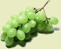raisin